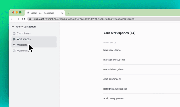 A gif of the Tinybird UI showing a list of Members belonging to an Organization