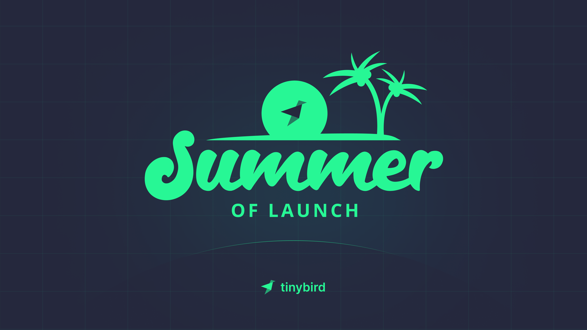 Summer of Launch